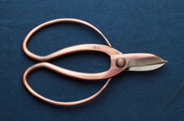 Koryu Shears