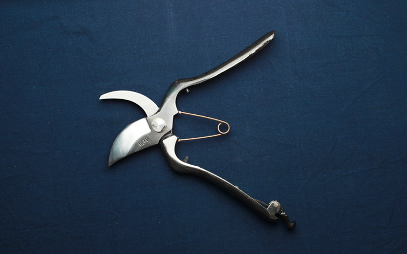 Pruning Shears