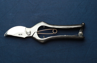 Pruning Shears